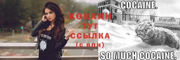 молекула духа Абинск