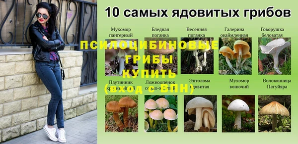 молекула духа Абинск