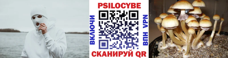 наркошоп  Яхрома  Галлюциногенные грибы ЛСД 
